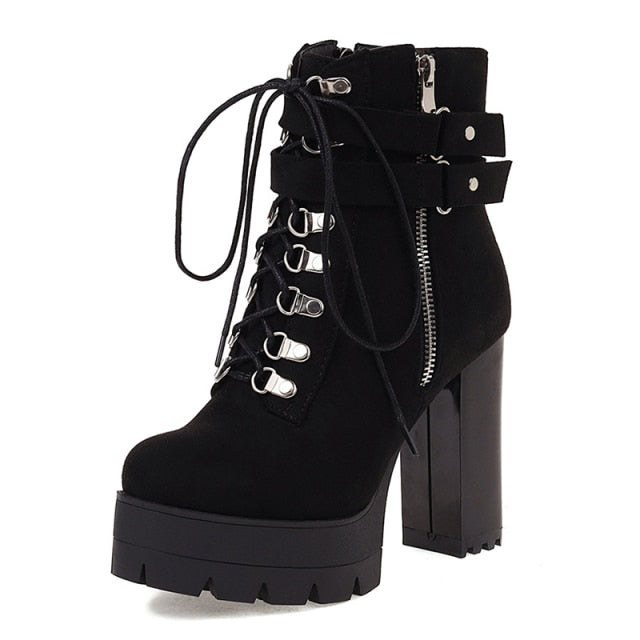 Suede Gothic Ankle Boots WS F26